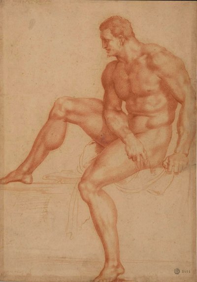 Studio per Ercole da Bartolommeo Bandinelli